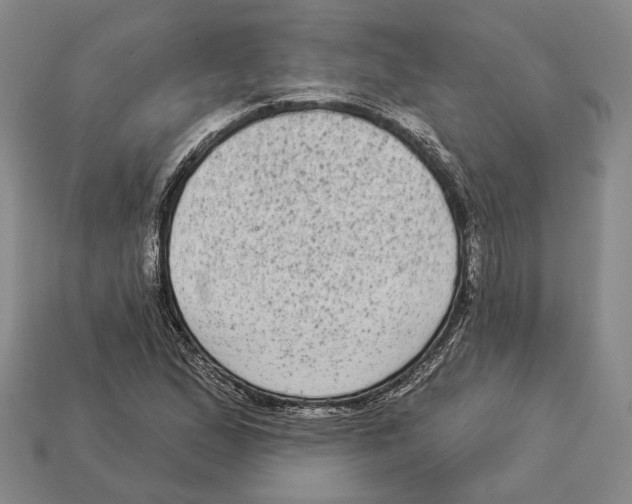 X0000112961167200909241154