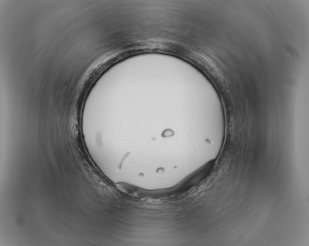 X0000112961172200909241154