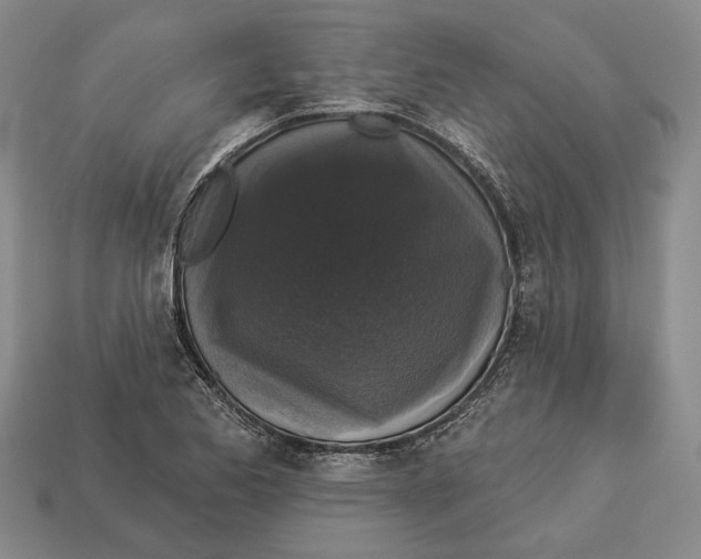 X0000112961173200909241153