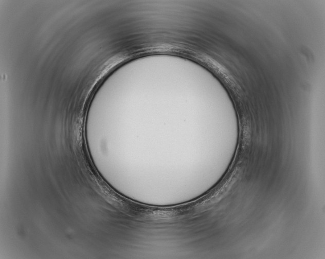 X0000112961178200909241153