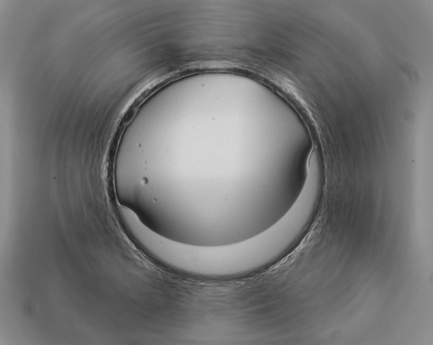 X0000112961181200909241153