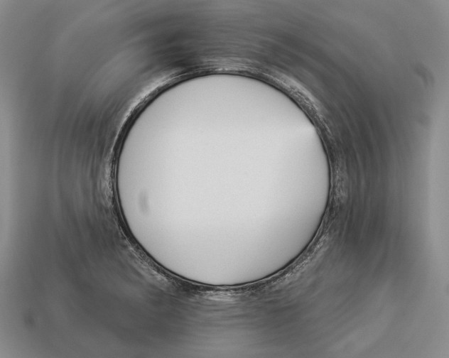 X0000112961182200909241153