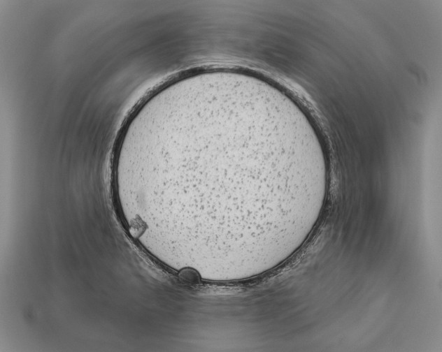 X0000112961183200909241153