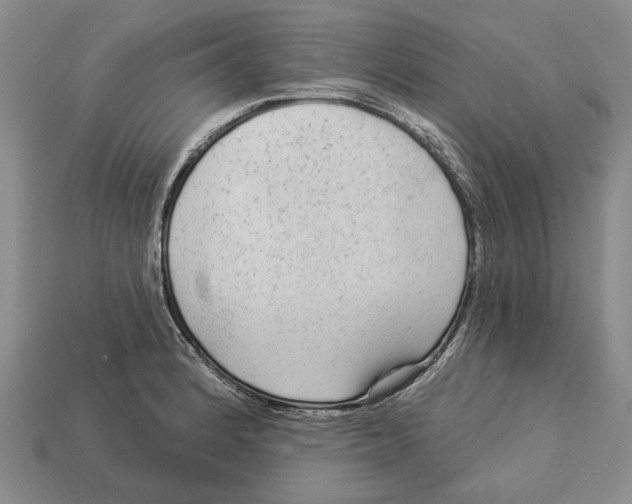 X0000112961184200909241153