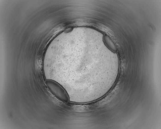 X0000112961185200909241153