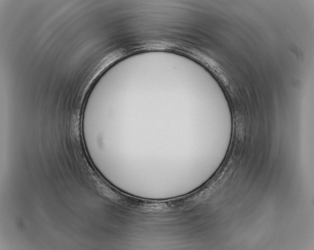 X0000112961186200909241153