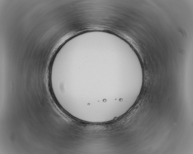 X0000112961187200909241153