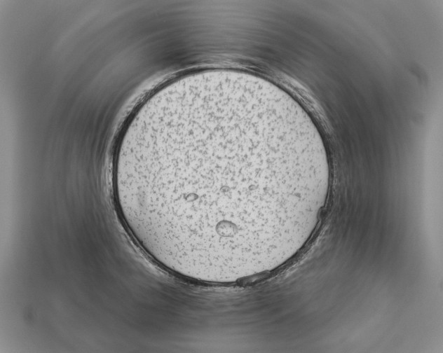 X0000112961188200909241153