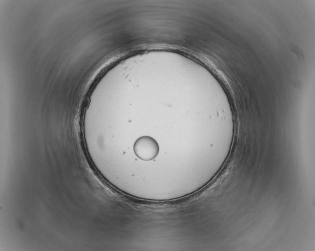 X0000112961189200909241153