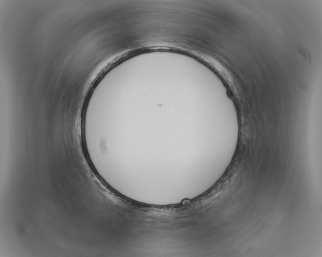 X0000112961191200909241153