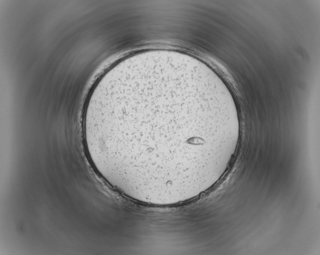 X0000112961192200909241153