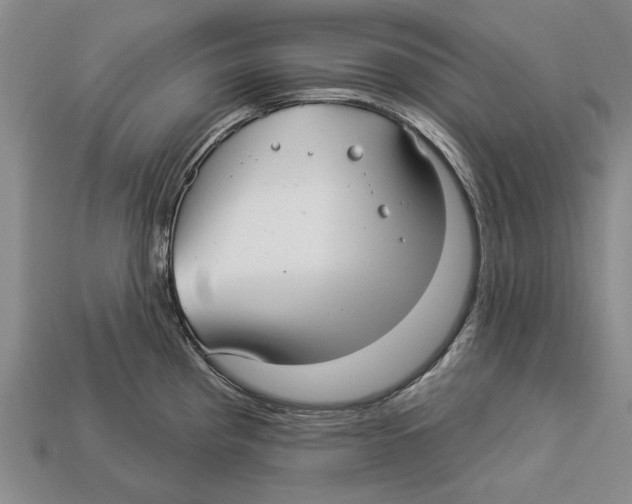 X0000112961193200909241153