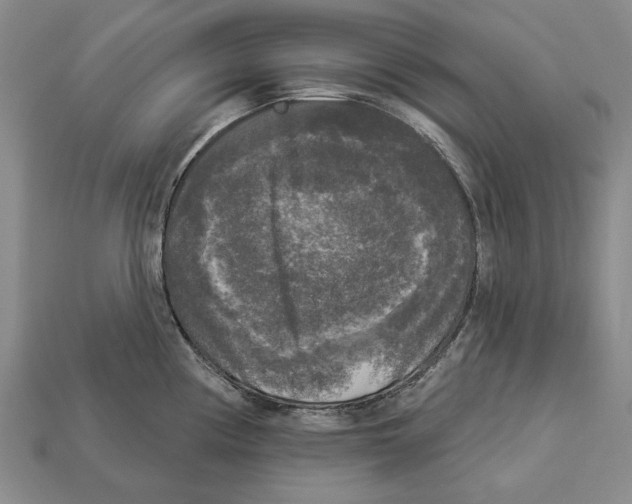 X0000112961194200909241153