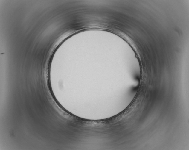 X0000112961195200909241153