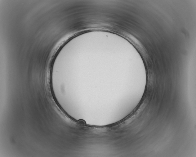 X0000112961196200909241153