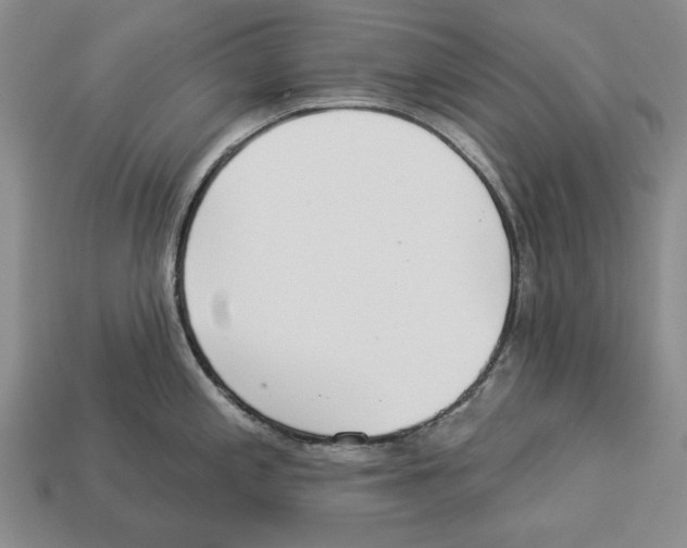 X0000112961197200909241153