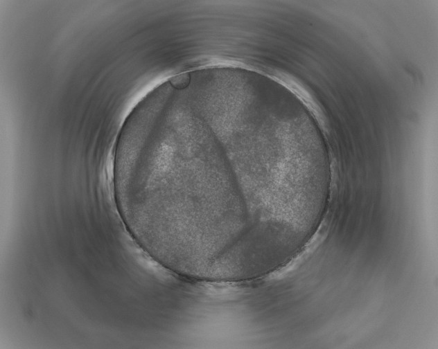 X0000112961198200909241153