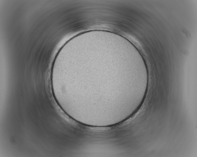 X0000112961200200909241153