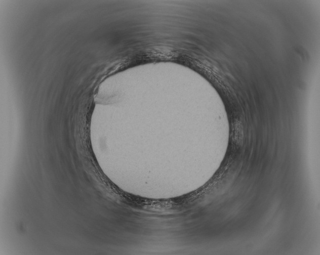 X0000112961201200909241153