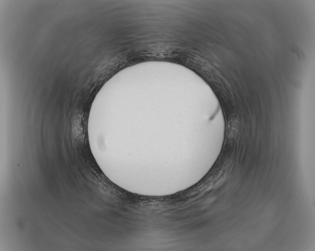 X0000112961202200909241153