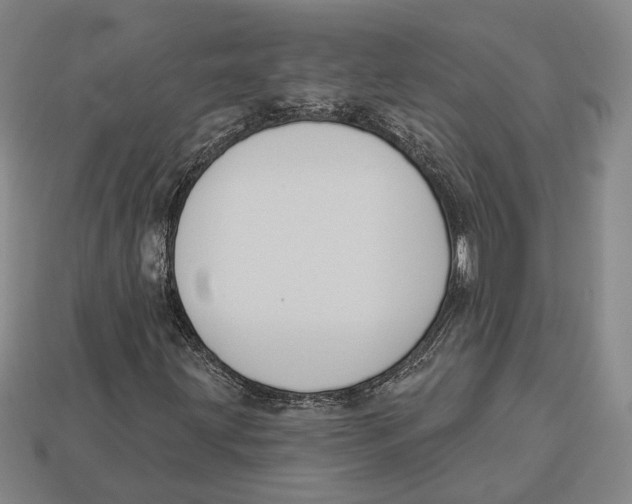 X0000112961203200909241153