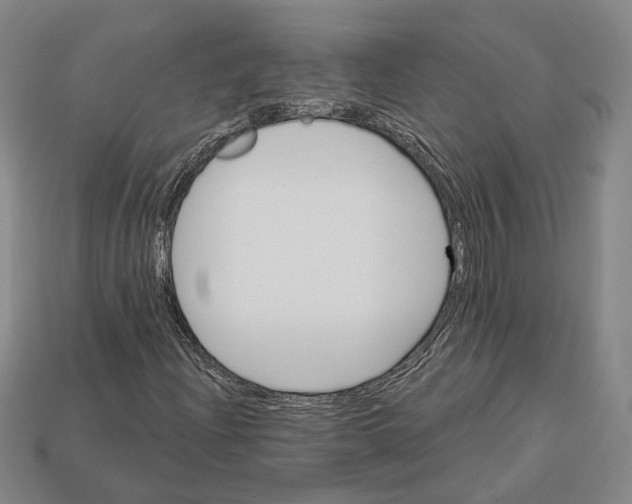 X0000112961204200909241153