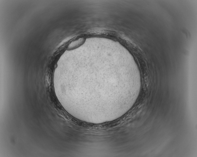 X0000112961206200909241153