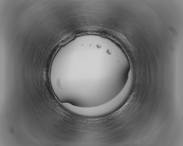 X0000112961209200909241153