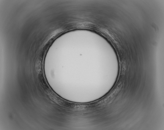 X0000112961211200909241153