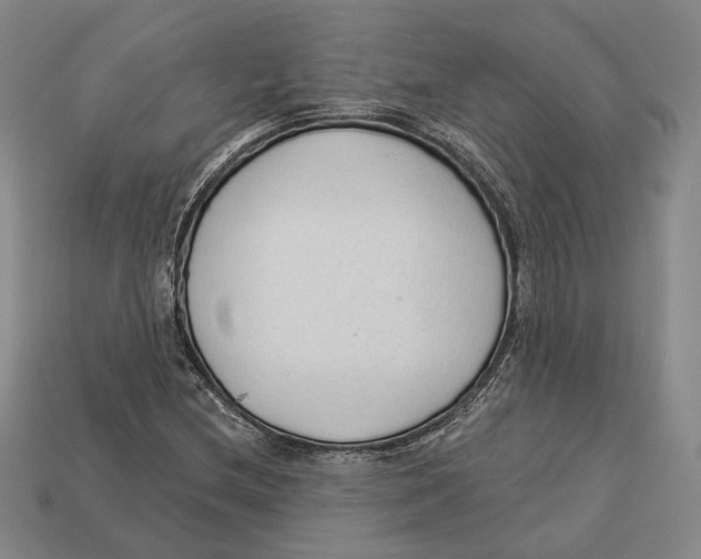 X0000112961212200909241153