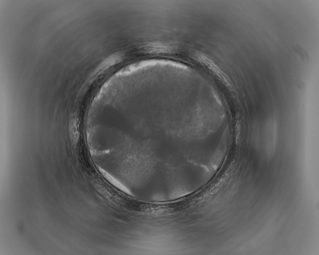 X0000112961213200909241153