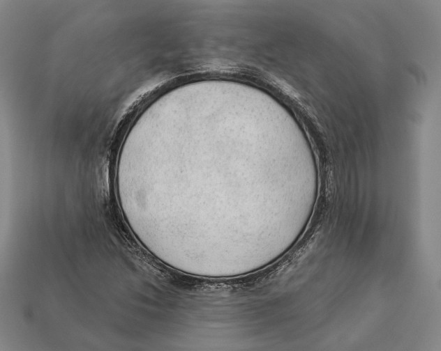 X0000112961214200909241153