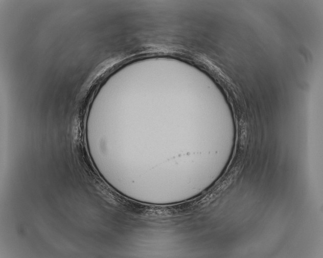 X0000112961215200909241153