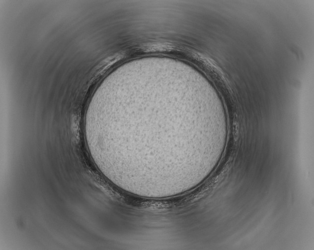 X0000112961217200909241153