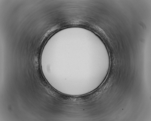 X0000112961218200909241153