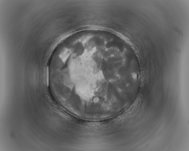 X0000112961223200909241153