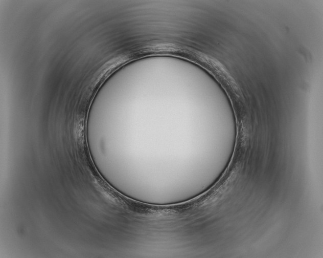 X0000112961225200909241153