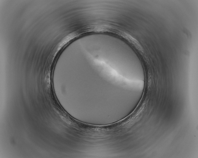 X0000112961226200909241153