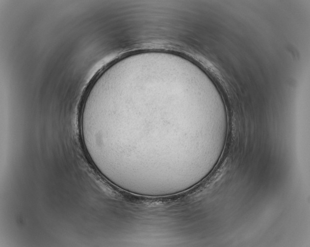 X0000112961230200909241153