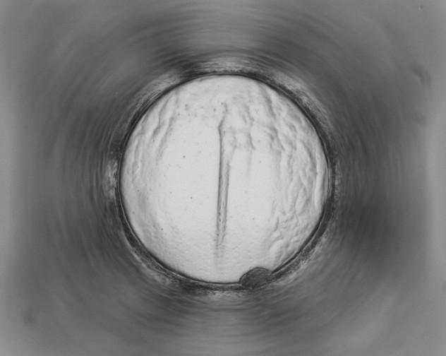 X0000112961233200909241153