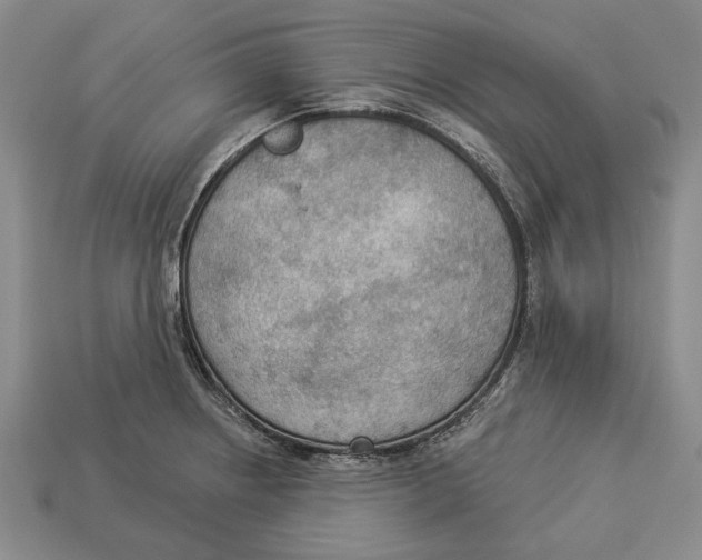 X0000112961234200909241153