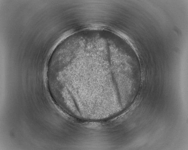 X0000112961235200909241153