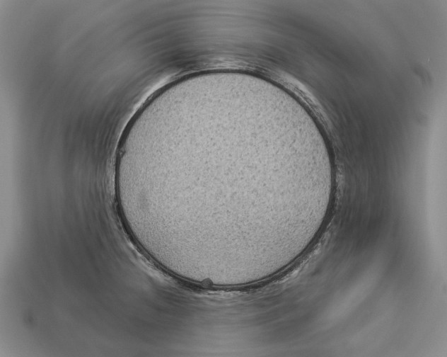 X0000112961236200909241153