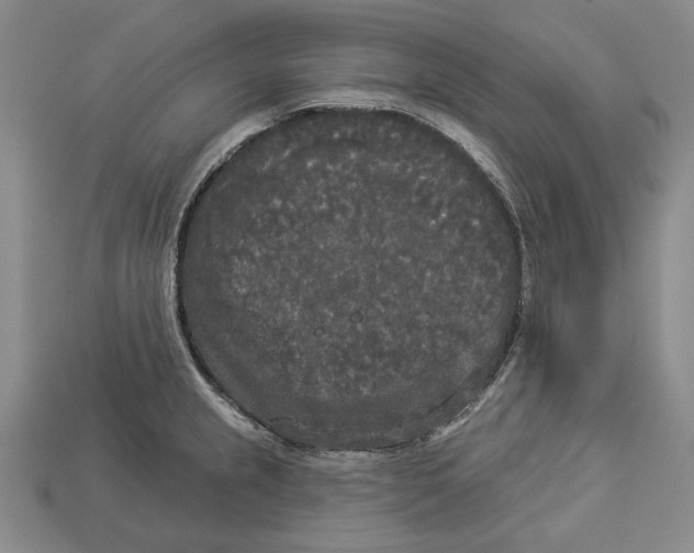 X0000112961237200909241153