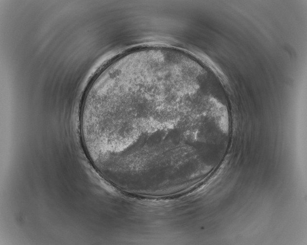 X0000112961240200909241153