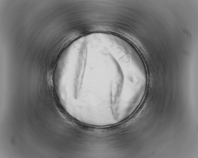 X0000112961241200909241153