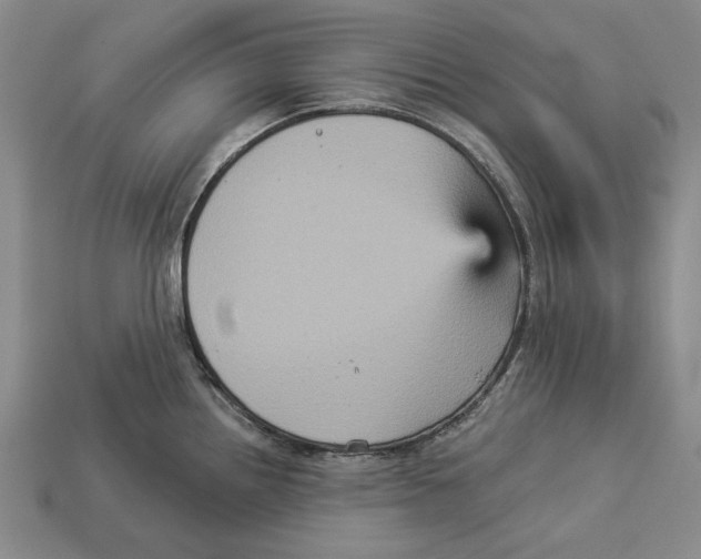 X0000112961242200909241153