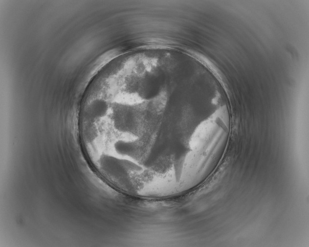 X0000112961243200909241153