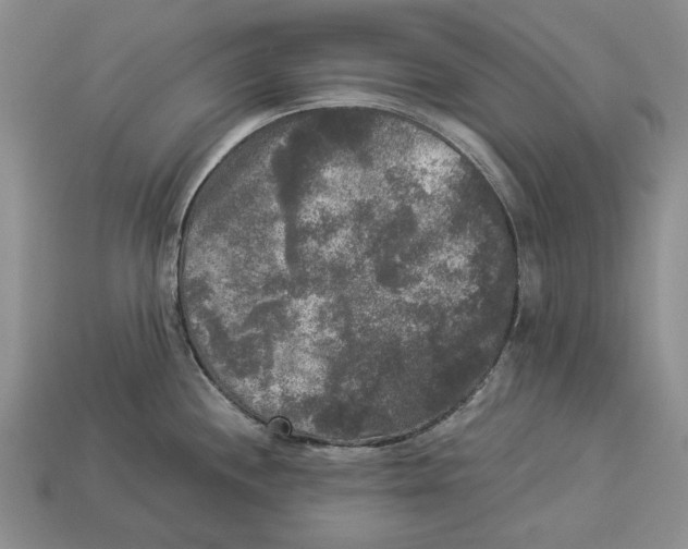 X0000112961244200909241153