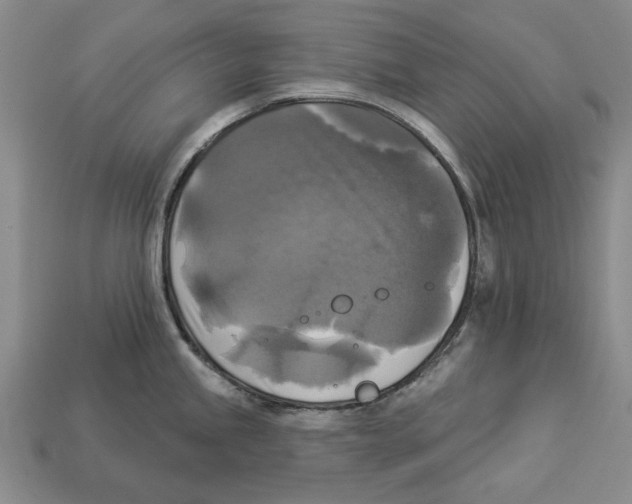 X0000112961245200909241153